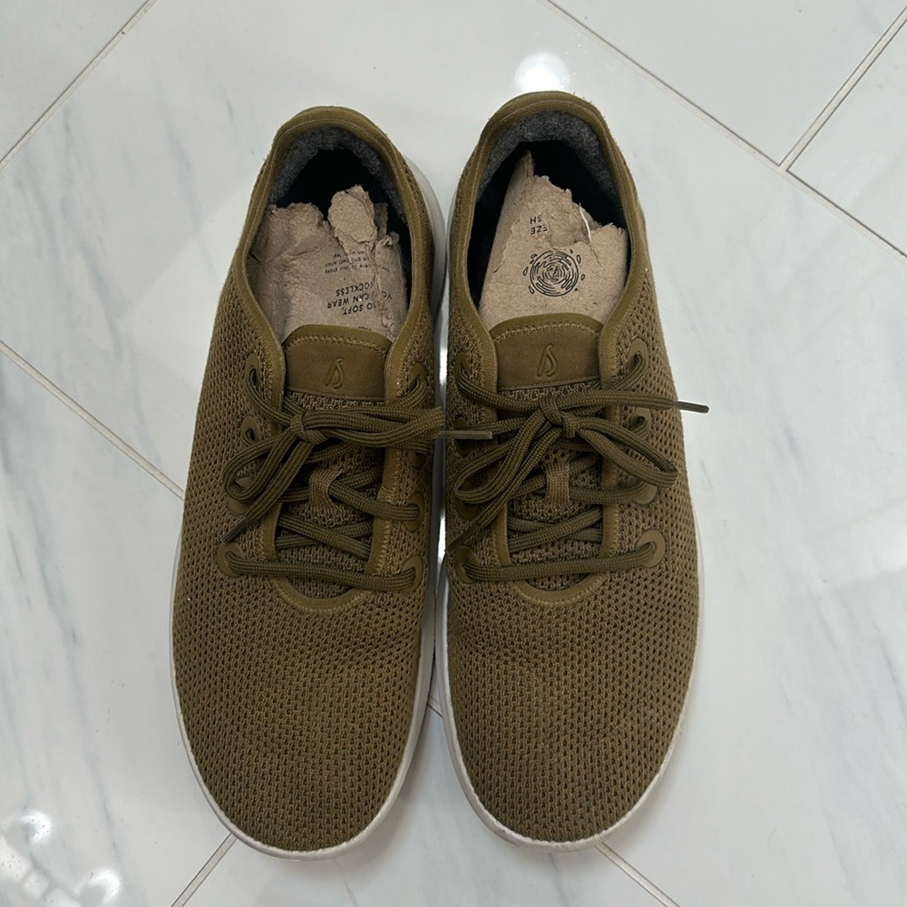Allbird Sneakers